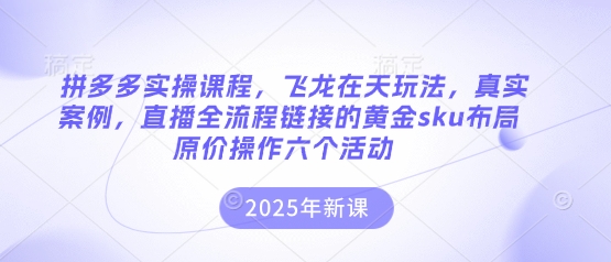 拼多多实操课程，飞龙在天玩法，真实案例，直播全流程链接的黄金sku布局原价操作六个活动-亮剑学堂