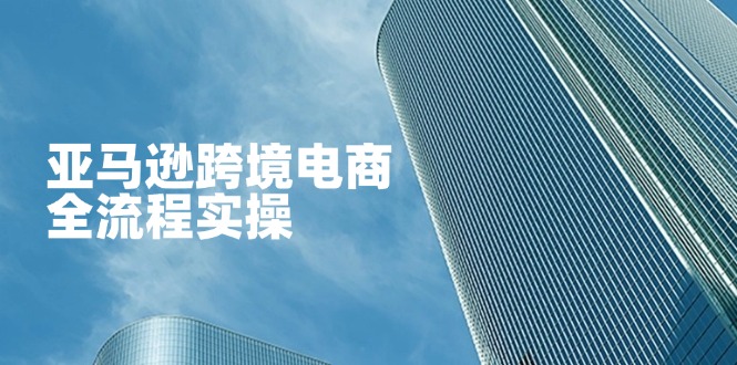 （14252期）亚马逊跨境电商全流程实操，教你从零开始，掌握店铺运营与广告技巧-亮剑学堂