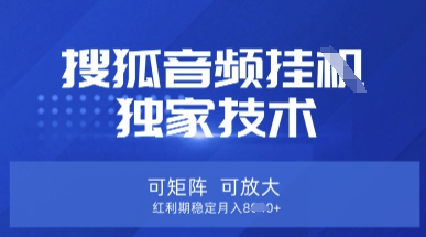 【搜狐音频挂G】独家技术,可矩阵可放大,红利期稳定月入8k【揭秘】-亮剑学堂